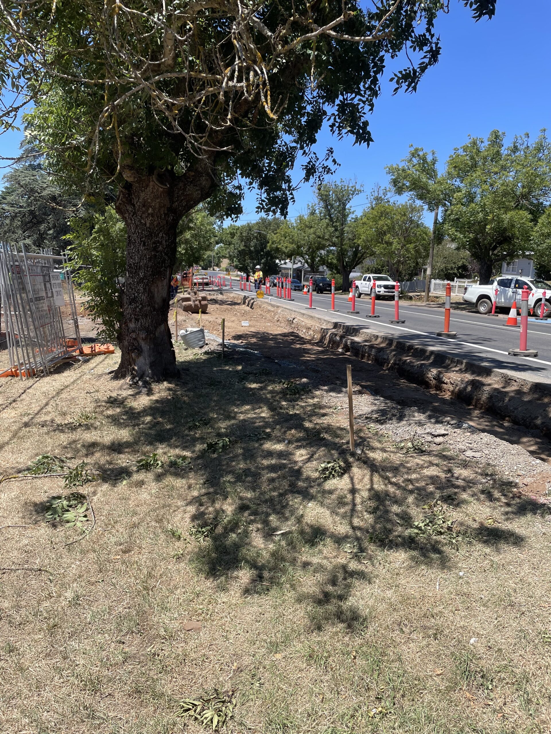 Open trench along a roadside under tree cover, marked with cones for underground utility work